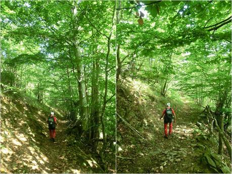 De braña en braña por Villar y Llamas