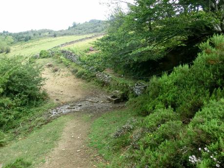 De braña en braña por Villar y Llamas