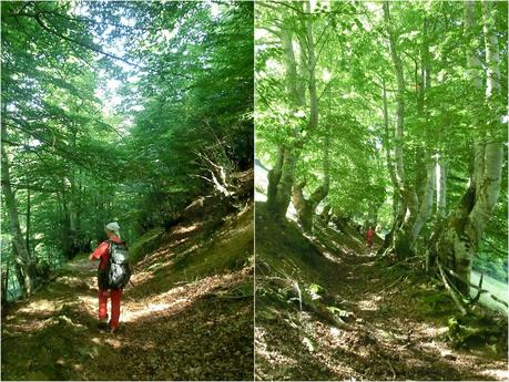 De braña en braña por Villar y Llamas