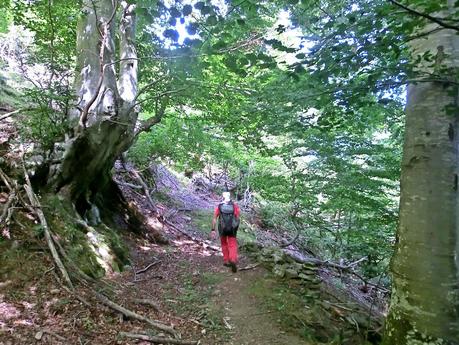 De braña en braña por Villar y Llamas