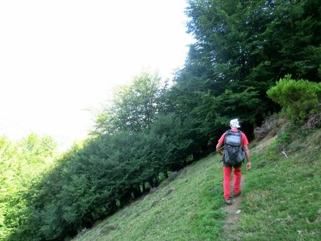 De braña en braña por Villar y Llamas
