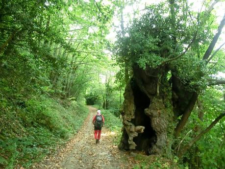 De braña en braña por Villar y Llamas