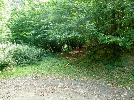 De braña en braña por Villar y Llamas