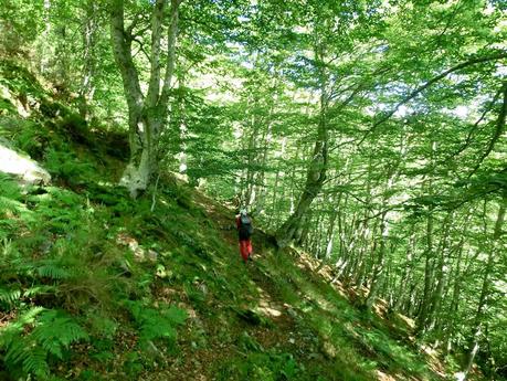 De braña en braña por Villar y Llamas