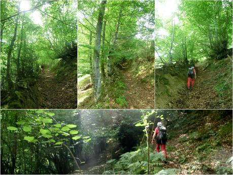 De braña en braña por Villar y Llamas