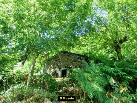 De braña en braña por Villar y Llamas