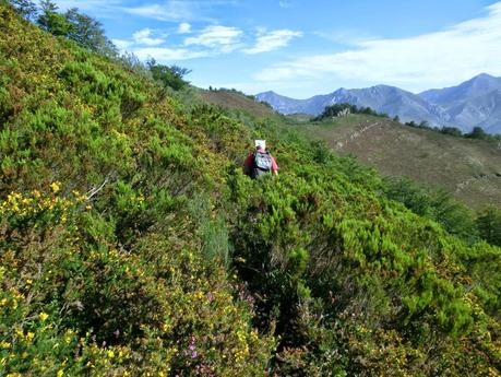 De braña en braña por Villar y Llamas