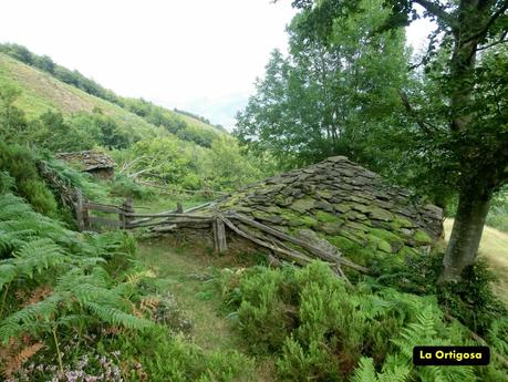 De braña en braña por Villar y Llamas