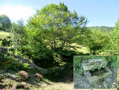 De braña en braña por Villar y Llamas
