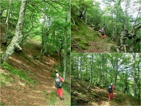 De braña en braña por Villar y Llamas