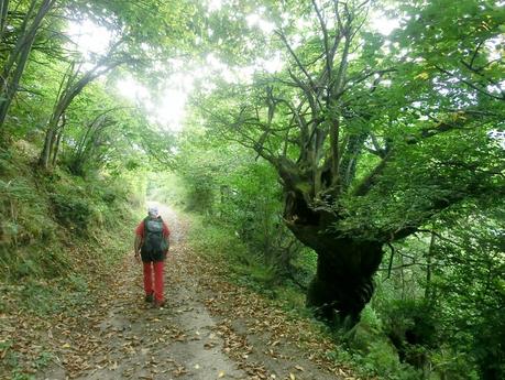 De braña en braña por Villar y Llamas