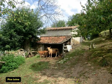 De braña en braña por Villar y Llamas