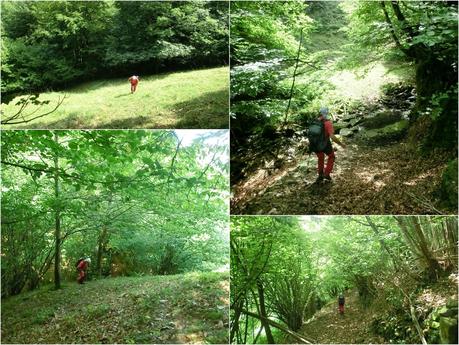 De braña en braña por Villar y Llamas