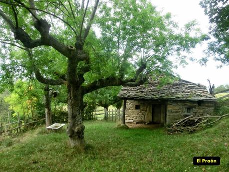 De braña en braña por Villar y Llamas