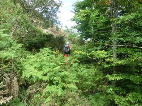 De braña en braña por Villar y Llamas