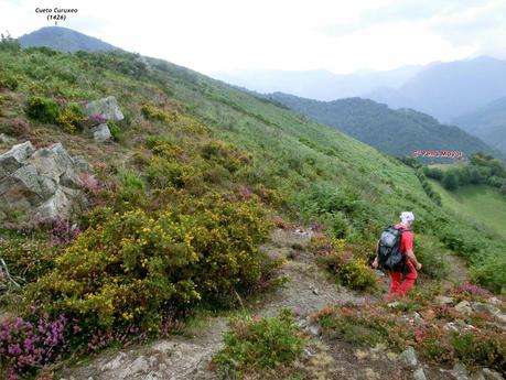 De braña en braña por Villar y Llamas