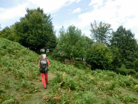 De braña en braña por Villar y Llamas