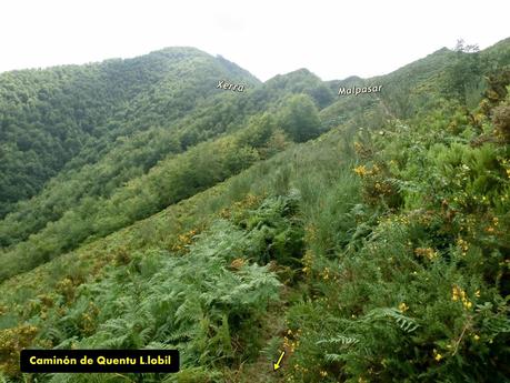 De braña en braña por Villar y Llamas