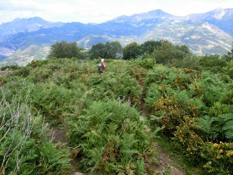 De braña en braña por Villar y Llamas