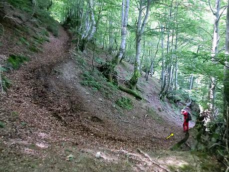 De braña en braña por Villar y Llamas