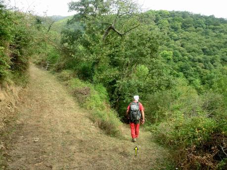 De braña en braña por Villar y Llamas