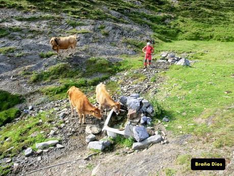 Rioaller-Col.lá La Maera-Pto. Vegarada-Col.láu Caniel.la-Col.lá L.lera-Rioaller