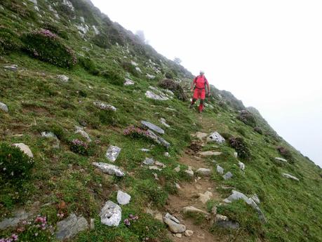Rioaller-Col.lá La Maera-Pto. Vegarada-Col.láu Caniel.la-Col.lá L.lera-Rioaller