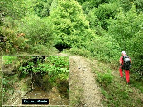 Rioaller-Col.lá La Maera-Pto. Vegarada-Col.láu Caniel.la-Col.lá L.lera-Rioaller