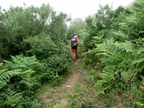Rioaller-Col.lá La Maera-Pto. Vegarada-Col.láu Caniel.la-Col.lá L.lera-Rioaller