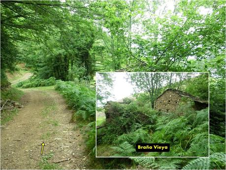 Rioaller-Col.lá La Maera-Pto. Vegarada-Col.láu Caniel.la-Col.lá L.lera-Rioaller