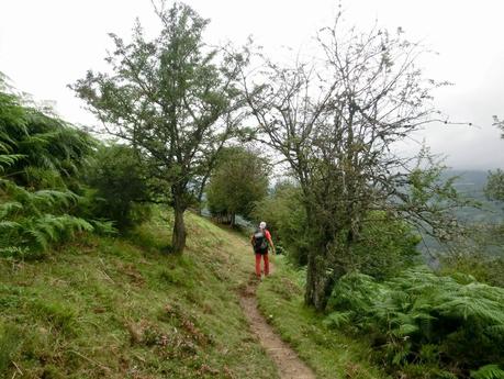Rioaller-Col.lá La Maera-Pto. Vegarada-Col.láu Caniel.la-Col.lá L.lera-Rioaller