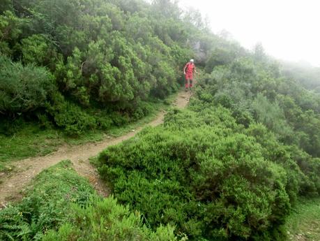 Rioaller-Col.lá La Maera-Pto. Vegarada-Col.láu Caniel.la-Col.lá L.lera-Rioaller