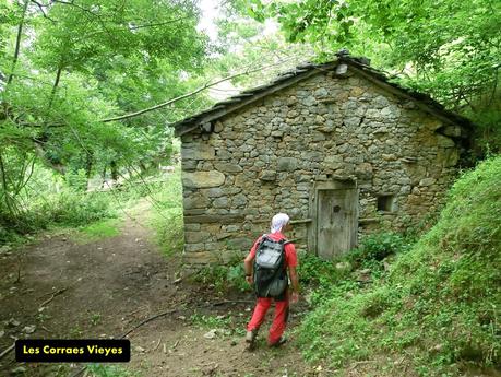 Rioaller-Col.lá La Maera-Pto. Vegarada-Col.láu Caniel.la-Col.lá L.lera-Rioaller