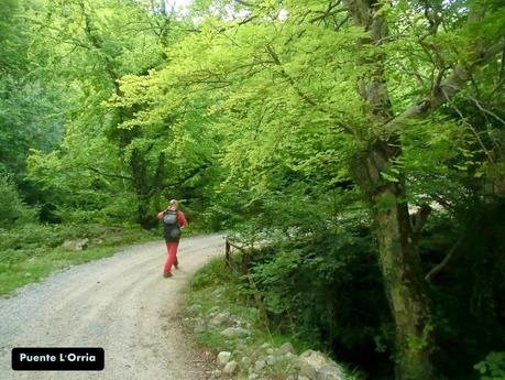 Rioaller-Col.lá La Maera-Pto. Vegarada-Col.láu Caniel.la-Col.lá L.lera-Rioaller