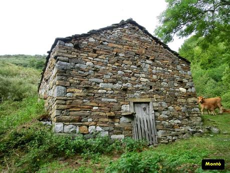 Rioaller-Col.lá La Maera-Pto. Vegarada-Col.láu Caniel.la-Col.lá L.lera-Rioaller