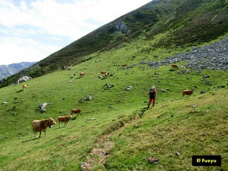 Rioaller-Col.lá La Maera-Pto. Vegarada-Col.láu Caniel.la-Col.lá L.lera-Rioaller