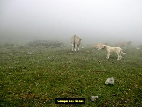 Rioaller-Col.lá La Maera-Pto. Vegarada-Col.láu Caniel.la-Col.lá L.lera-Rioaller
