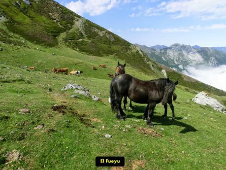 Rioaller-Col.lá La Maera-Pto. Vegarada-Col.láu Caniel.la-Col.lá L.lera-Rioaller