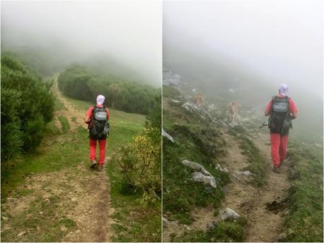 Rioaller-Col.lá La Maera-Pto. Vegarada-Col.láu Caniel.la-Col.lá L.lera-Rioaller