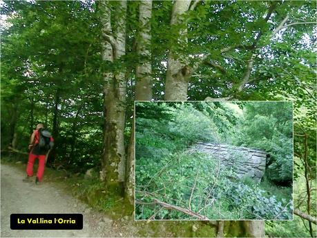 Rioaller-Col.lá La Maera-Pto. Vegarada-Col.láu Caniel.la-Col.lá L.lera-Rioaller