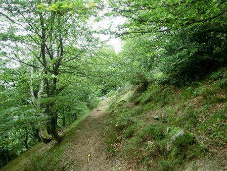Rioaller-Col.lá La Maera-Pto. Vegarada-Col.láu Caniel.la-Col.lá L.lera-Rioaller