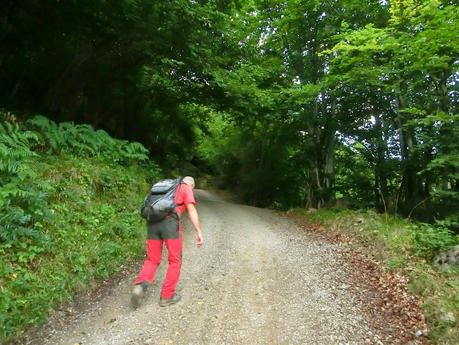 Rioaller-Col.lá La Maera-Pto. Vegarada-Col.láu Caniel.la-Col.lá L.lera-Rioaller