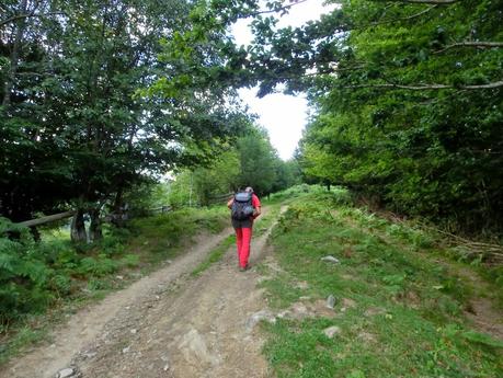 Rioaller-Col.lá La Maera-Pto. Vegarada-Col.láu Caniel.la-Col.lá L.lera-Rioaller