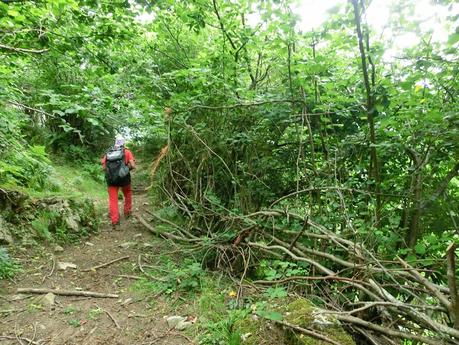Rioaller-Col.lá La Maera-Pto. Vegarada-Col.láu Caniel.la-Col.lá L.lera-Rioaller