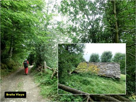 Rioaller-Col.lá La Maera-Pto. Vegarada-Col.láu Caniel.la-Col.lá L.lera-Rioaller