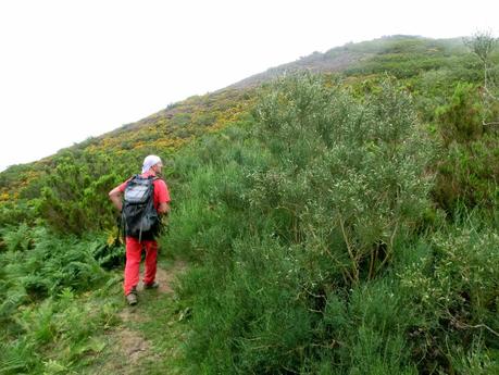 Rioaller-Col.lá La Maera-Pto. Vegarada-Col.láu Caniel.la-Col.lá L.lera-Rioaller