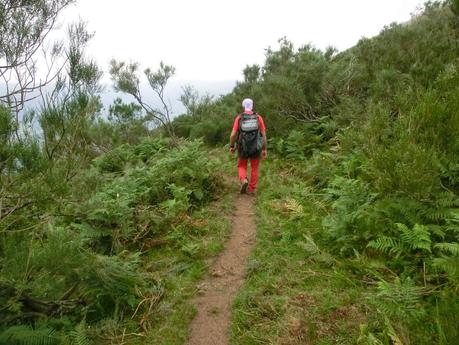 Rioaller-Col.lá La Maera-Pto. Vegarada-Col.láu Caniel.la-Col.lá L.lera-Rioaller