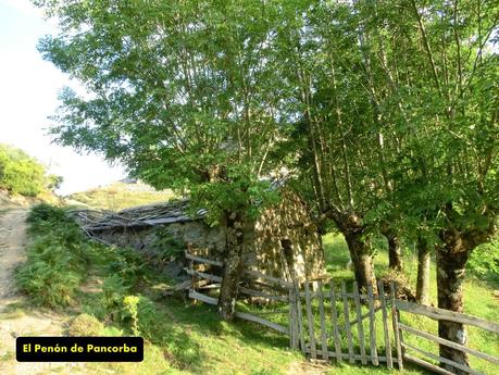 Rioaller-Col.lá La Maera-Pto. Vegarada-Col.láu Caniel.la-Col.lá L.lera-Rioaller