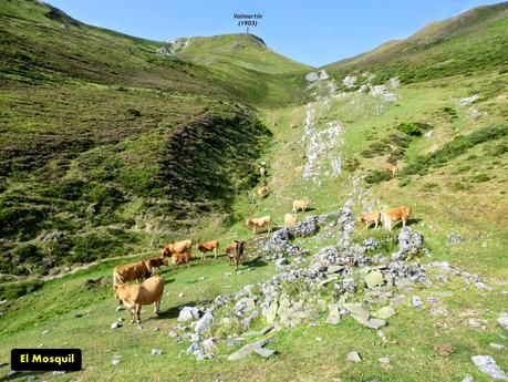 Rioaller-Col.lá La Maera-Pto. Vegarada-Col.láu Caniel.la-Col.lá L.lera-Rioaller