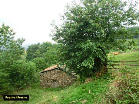 Brañacaballo-Estorbín de Valverde (desde Casomera)